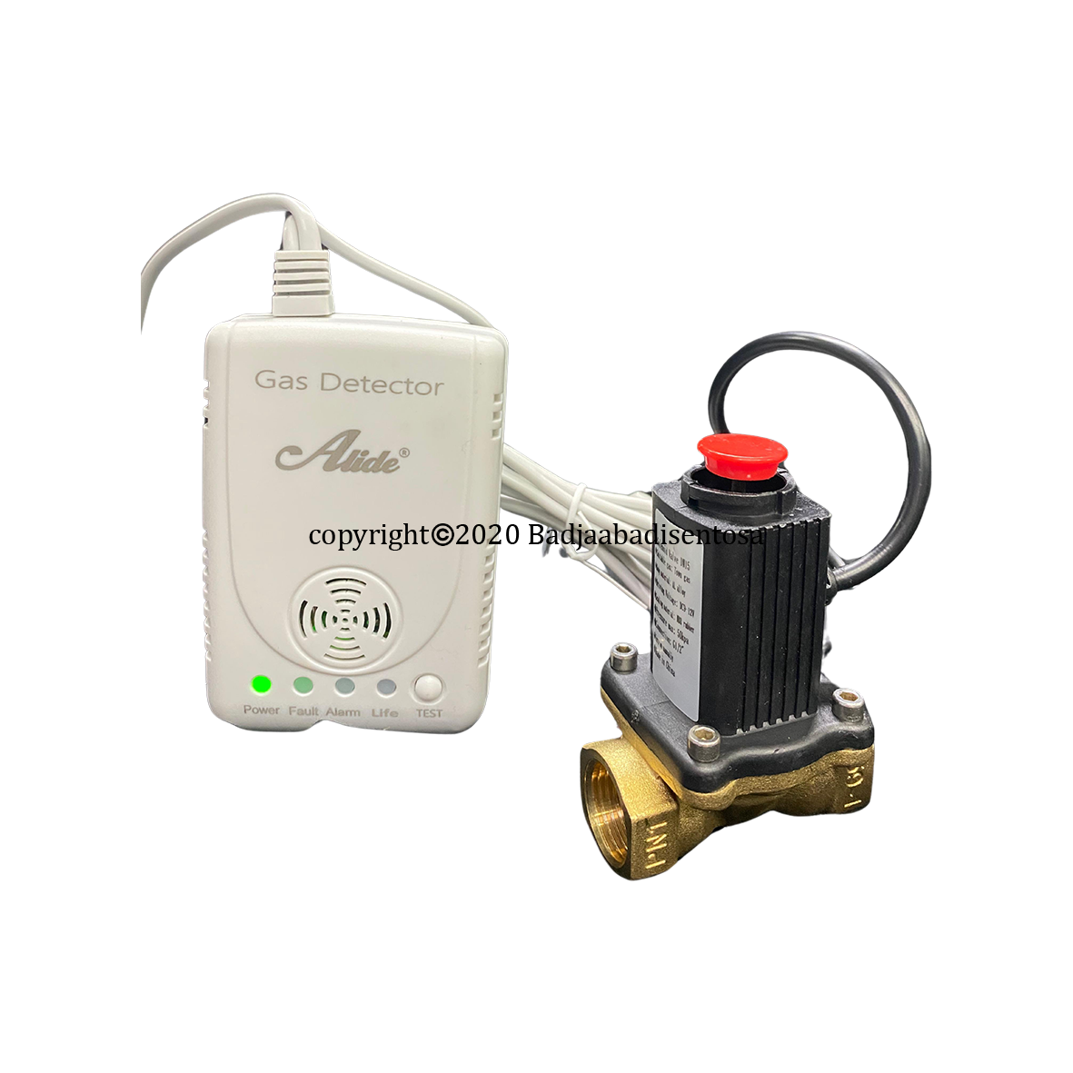 Alide - Gas Detector with Solenoid Valve